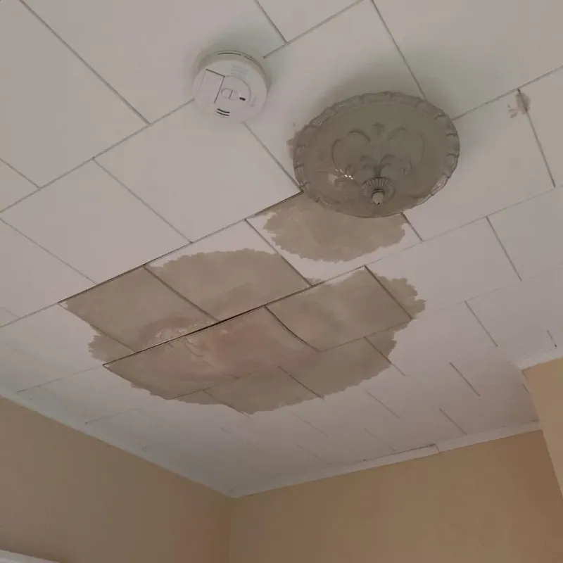 Ceiling Water Damage Repair in Marion, AR